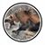 Donald Harkness's profile image