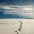 Debbie Dyer Jackson's profile image