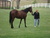 Lorri R.'s profile image