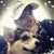 Heather Rydstrom's profile image