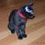 Deborah Barnhart's profile image