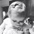 Jessica Lokey's profile image