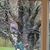 Stella Lydon's profile image