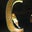 Cindi Williams's profile image