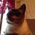 Cathy Campbell's profile image