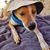 Zacarías Y Scout Stepanovich's profile image