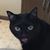 Kelly Denton's profile image