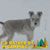 Cheryl Mick Elliott's profile image