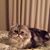 Donna OBier's profile image