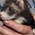Marie Grist's profile image