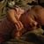 Katherine Parker's profile image