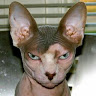 Stephen B.'s profile image