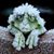 Charity Breckenridge Scholes's profile image