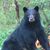 Stew Friedman's profile image