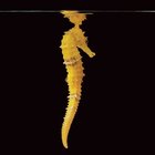 Phillip B.'s profile image
