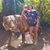 Sarah Wilson's profile image