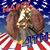 Judy Moberg's profile image