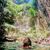 Cindy Rivas's profile image