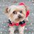 Melody Kramer Geroux's profile image