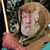Douglas Herring's profile image