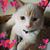 Kim Ber's profile image