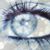 Nicole Schneider's profile image