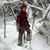 Scott Bisbee's profile image