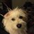 Tammy Peterson VanDerhoof's profile image