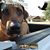Joey Ray Kinney's profile image