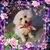Stefanie Baxter's profile image