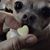 Felina Dolly's profile image