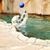 Sandi Goodman's profile image