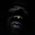 John Pedro Fernandes II's profile image