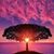 Susana Jimenez's profile image
