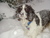 robin p.'s profile image