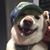 Britta Quigley's profile image