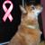 Brooke Muscarello's profile image