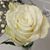 Robin Rees Schmitt's profile image