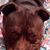 Brenda Barron's profile image