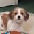 Jan Bakke's profile image