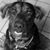 Charlene Broadright Lucas's profile image