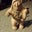 Brian Brown🍩🍔🍻's profile image