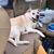 Lori Geers English's profile image