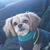 Gwen Taylor's profile image