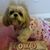 Debbie Chemmie Hostetter Barell's profile image