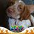 Jennifer Higby Patterson's profile image