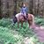 Ginger Vosburg's profile image