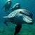 Jennifer Klein Naiman's profile image