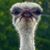 Monica Clift's profile image