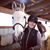 Julie Zronek First's profile image